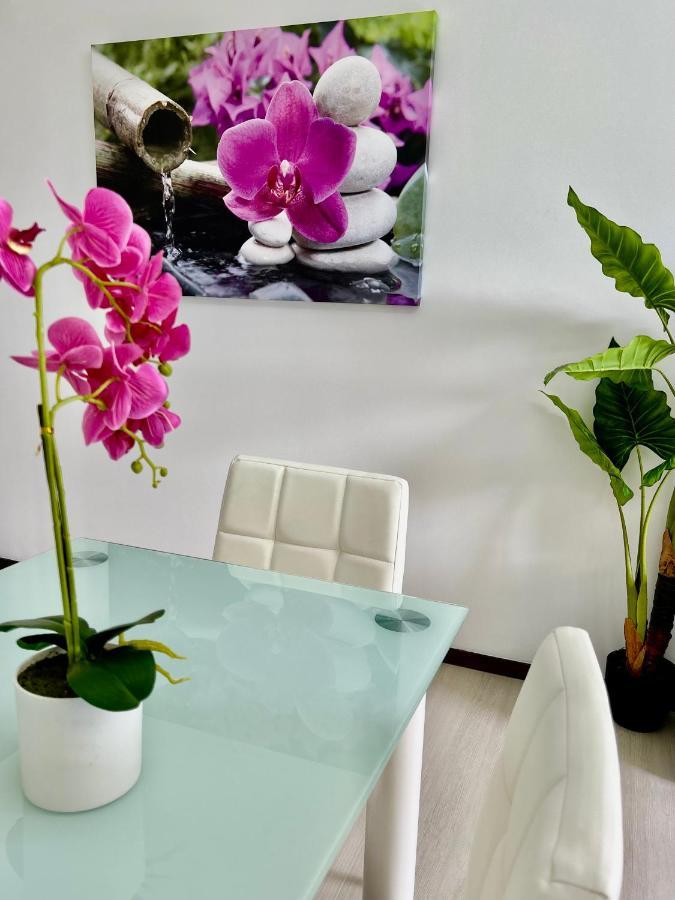 Appartement Santa Catarina By Ola Madeira à Funchal  Extérieur photo